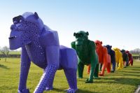 “Lord Greystoke” Stunning Silverback Gorilla “Lord Greystoke” Stunning Silverback Gorilla