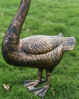 Close up of bronze body detail Close up of bronze body detail