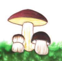 Square Trivet Mushrooms