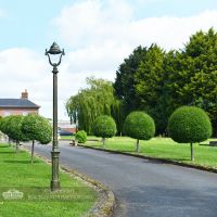 Olive Green Opulent Cast Iron Lamp Post Installed On Driveway