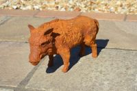 "Ushworth Grassland" Wild Boar Sculpture  "Ushworth Grassland" Wild Boar Sculpture