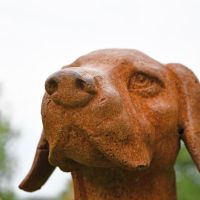 Close up of head on "The Duke" 