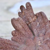 Close up of cast iron wing detailing Close up of cast iron wing detailing