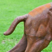 Close up of Cast Iron Stag Tail Close up of Cast Iron Stag Tail