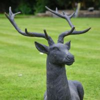 Close up of Cast Iron Stag Head and Antlers