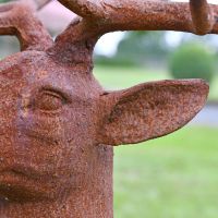 Close up of cast iron rustic finish on stag sculpture 
