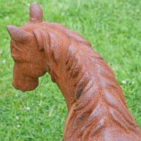 Birdseye view of pony neck and mane 