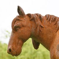 Close up of pony head detailing 