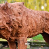 Close-up of the Detail on the Wolf"s Fur Close-up of the Detail on the Wolf"s Fur