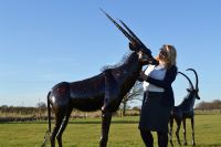 “Choroa Wilds” Oryx Sculpture “Choroa Wilds” Oryx Sculpture