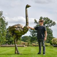 Recycled Metal Ostrich Sculpture with Male for Scale Recycled Metal Ostrich Sculpture with Male for Scale