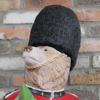 Close-up of the Bears Face Close-up of the Bears Face