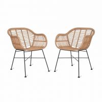 Pair of Dining Chairs Created From Polyethylene "Bamboo" 