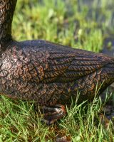 Pair of Cast Aluminium Ducks Sitting Version in a Bronze Finish Close up of the Wings