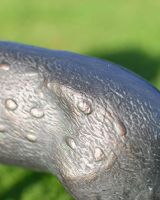 Close-Up of Aged Verdigris Finish on Pair of Miniature Aged Verdigris "Cherry & Blossom" Stag & Doe Garden Sculptures