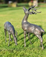 Close-Up of Pair of Miniature Aged Verdigris "Starlight & Moondust" Stag & Doe Garden Sculptures in Situ Close-Up of Pair of Miniature Aged Verdigris "Starlight & Moondust" Stag & Doe Garden Sculptures in Situ