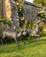 Pair of Miniature Aged Verdigris "Parsley & Sage" Stag & Doe Garden Sculptures digital illustration