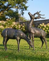 Pair of Miniature Aged Verdigris "Starlight & Moondust" Stag & Doe Garden Sculptures digital illustration Pair of Miniature Aged Verdigris "Starlight & Moondust" Stag & Doe Garden Sculptures digital illustration