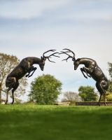 Pair of Rutting Stags Created From Aluminium