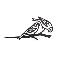 Close-Up of Black Pair of Siskins Steel Tree Spike