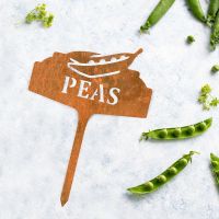 "Peas" Vegetable Label Created From Steel "Peas" Vegetable Label Created From Steel