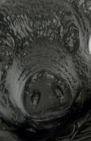 Percy Pig Door Knocker in Black