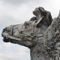 Detailed image of horse