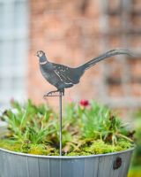 Pheasant Artistic Plant Pot Spike - Set of Two