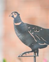 Pheasant Artistic Plant Pot Spike - Set of Two close up of head of pheasant