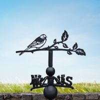 Pied wagtail weathervane on the countryside Pied wagtail weathervane on the countryside