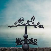 Pied wagtail weathervane on a lovely foggy day Pied wagtail weathervane on a lovely foggy day