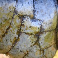Recycled Metal Pattern On The Sculpture Recycled Metal Pattern On The Sculpture