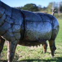 Side View OF The Recycled Metal Pig Side View OF The Recycled Metal Pig