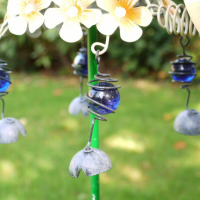 Close-up of the Pigs Feet Close-up of the Pigs Feet