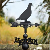 Weathervane Pigeon  Weathervane Pigeon