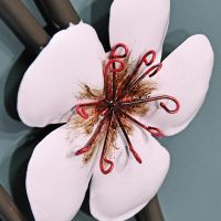 Close-up of the Pink Blossom