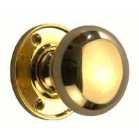 Polished Brass Door Handle Polished Brass Door Handle
