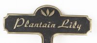 Plantain Lily Brass Garden Plant Sign