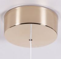 Round Metal Pull Switch