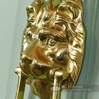 Polished Brass Mayfair Lion Door Knocker Close Up