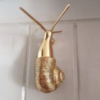 Polished Brass snail door knocker mounted on white door