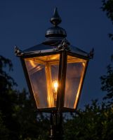 Polished Nickel Victorian Lantern & Custom Frog Collar Digital Illustration At Night