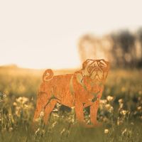 Pug Silhouette in Situ in a Field Pug Silhouette in Situ in a Field