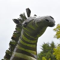 Close-up of the Head of the Rearing Metal Zebra Sculpture