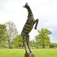 Rearing Metal Zebra Sculpture in Situ in the Garden