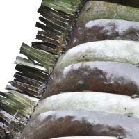 Close-up of the Metal Finish on the Rearing Zebra Sculpture