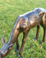 Close-Up of Antique Bronze Finish Close-Up of Antique Bronze Finish