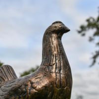 Close-Up of Recycled Cast Aluminium Bronze Dauntless Chicken Sculpture
