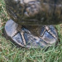 Close-Up of Freestanding Base