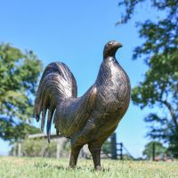 Recycled Cast Aluminium Bronze "Valorous" Rooster Sculpture in Situ